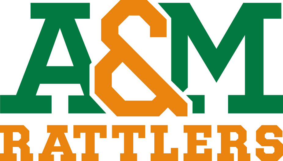 Florida A&M Rattlers 2013-Pres Wordmark Logo 11 iron on paper